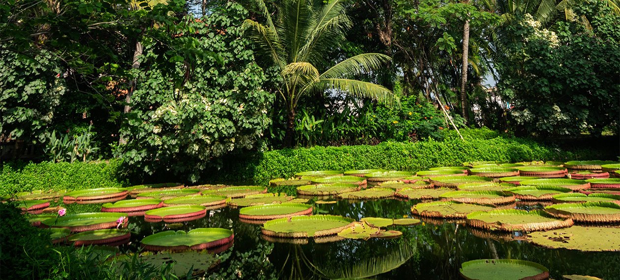   İletişim   - İzpeyzaj